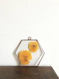 Glass Pressed Flower Frame - Hexagon Violas Real Flowers Wall Hanging - thumbnail 1