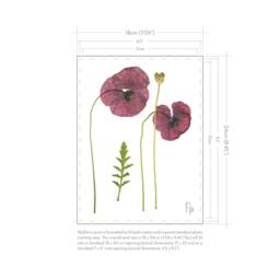 Papaver Rhoeas/Field Poppy Fine Art Prints - thumbnail 3