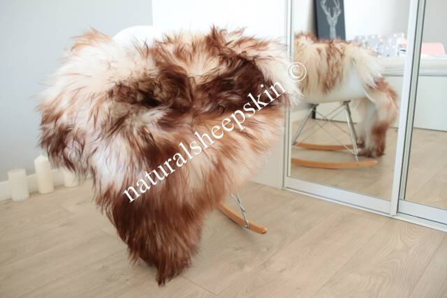Real Icelandic Sheepskin Rug Super Soft - White With Brown Tips - image 1