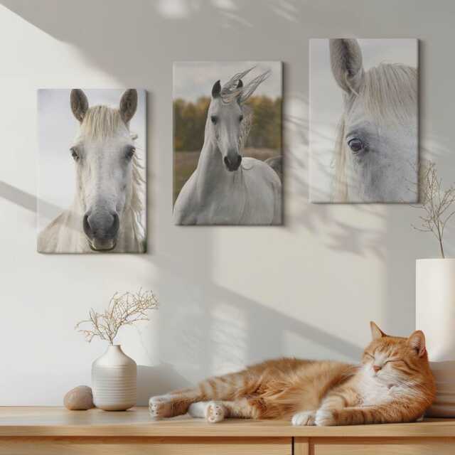 Canvas Art Set Of 3 - White Horses in Various Poses Against A Natural Background, Photo Print, Animals Wall Decor - image 1