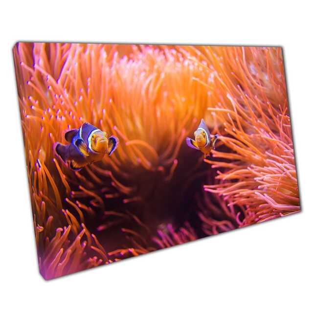 Vibrant Clownfish Anemone Canvas Print Tropical Coral Reef Wall Art For Home & Office - image 1