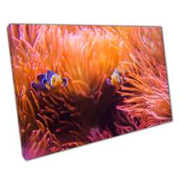 Vibrant Clownfish Anemone Canvas Print Tropical Coral Reef Wall Art For Home & Office - thumbnail 1