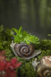 Candle Holder Snail Plant Pot in Resin