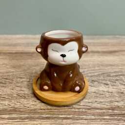 Cute Animal Succulent Planters With Bamboo Coaster/Small Ceramic Desktop Plant Pot Indoor Office Home Decoration New Gift Idea - thumbnail 4