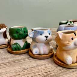 Cute Animal Succulent Planters With Bamboo Coaster/Small Ceramic Desktop Plant Pot Indoor Office Home Decoration New Gift Idea - thumbnail 3