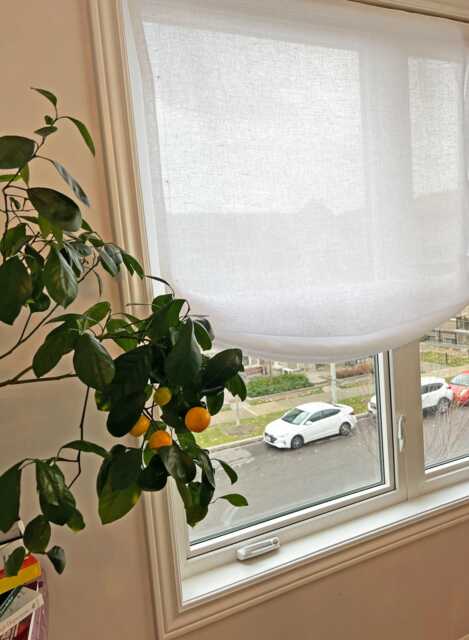 Sheer Linen Relaxed Roman Shade, Custom Window Treatment - image 1