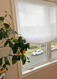 Sheer Linen Relaxed Roman Shade, Custom Window Treatment - thumbnail 1