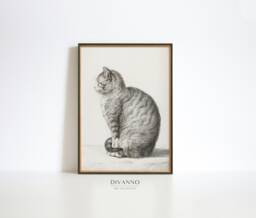 Vintage Jean Bernard Cat Print, Monochrome Sketch Art - thumbnail 1