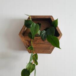 Hexagon Planter Shelf/Hexagon Shelves, Geometric Shelf, Honeycomb Boho Wall Decor, Nature Art, Vintage Wallpaper, Modern Shelf - thumbnail 3
