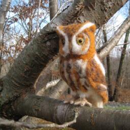 Mr. Eastern Screech Owl, Needle Felted Bird Fiber Art Sculpture - thumbnail 2