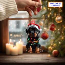 Custom Name Rottweiler Cute Dog With Santa Hat Christmas Lights Ornament, Tree Hanging Decor, Flat 2D Ornament - thumbnail 2