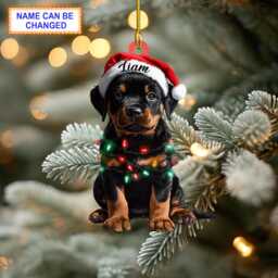 Custom Name Rottweiler Cute Dog With Santa Hat Christmas Lights Ornament, Tree Hanging Decor, Flat 2D Ornament - thumbnail 1