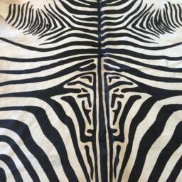 Cowhide Rug Zebra Black White Unique A340 7x6Ft Peau De Vache Imprim??e Zebra Printed Skin - thumbnail 3