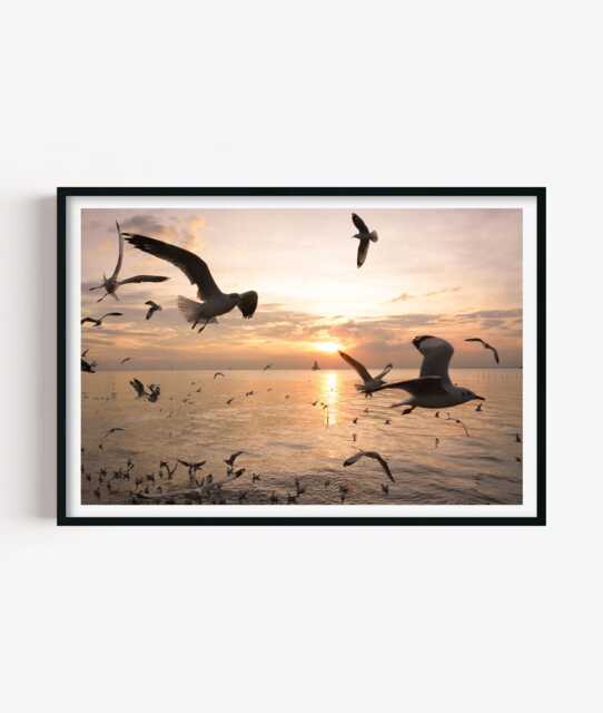 Seagull Sunset Photography Print - Coastal Ocean Wall Art Poster Seaside Home Decor - image 1