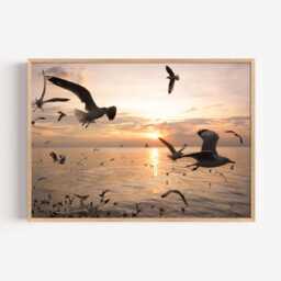 Seagull Sunset Photography Print - Coastal Ocean Wall Art Poster Seaside Home Decor - thumbnail 2