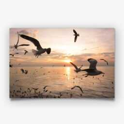Seagull Sunset Photography Print - Coastal Ocean Wall Art Poster Seaside Home Decor - thumbnail 3