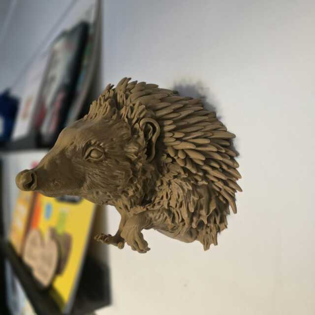 3D Printed Hedgehog Wall Art - Animal Home Decor - image 1