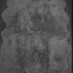 Large Light Grey Sheepskin Rug , Six Skin Rug, Neutral Genuine Sheepskin, Fluffy Xl Interior Accessories - thumbnail 4