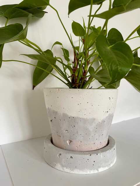 Large Concrete Planter - image 1