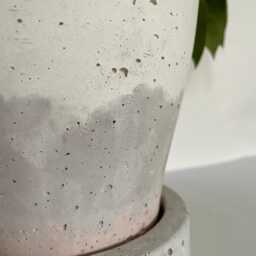 Large Concrete Planter - thumbnail 3