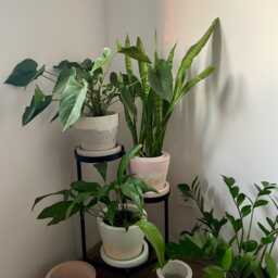 Large Concrete Planter - thumbnail 4