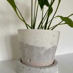 Large Concrete Planter - thumbnail 2