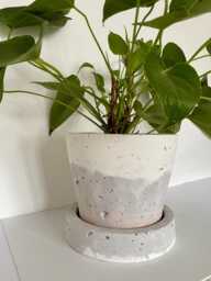 Large Concrete Planter - thumbnail 1