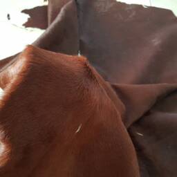 Cowhide Rug Xl Peau De Vache. Cow Hide Skin - thumbnail 3