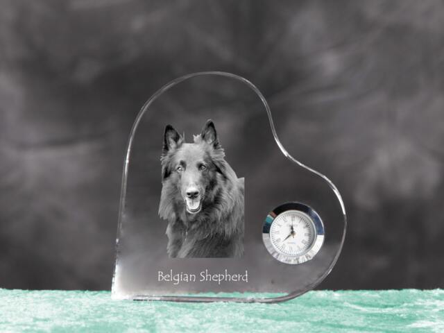Belgian Shepherd, Malinois - Crystal Clock in The Shape Of A Heart With Image Pure-Bred Dog - image 1