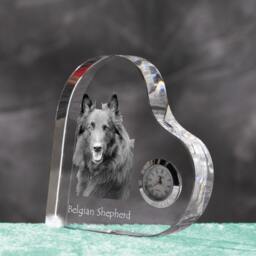 Belgian Shepherd, Malinois - Crystal Clock in The Shape Of A Heart With Image Pure-Bred Dog - thumbnail 2