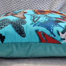 Designers Guild & Christian Lacroix Butterfly Parade Lagon & Omega Velvet Cushion Cover 50x50 cm - thumbnail 2