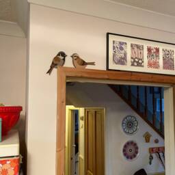 Hand Painted House Sparrow Couple To Sit On A Door Frame - thumbnail 3