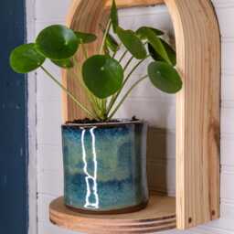 Grotto Pine Plant Shelf - Modern Wall Display - thumbnail 4