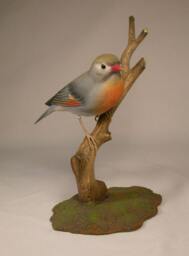 Pekin Robin Bird Carving Wood - thumbnail 1