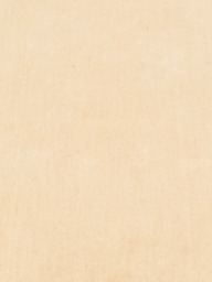 Miri Hand-tufted Wool Rug - thumbnail 5