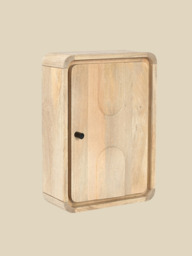 Luce Mango Wood One Door Cabinet - thumbnail 4