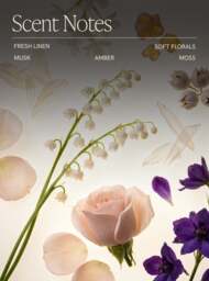 Sunday Linen Soy Wax Candle - thumbnail 2