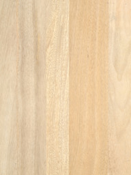 Luce Mango Wood Two Door Cabinet - thumbnail 6
