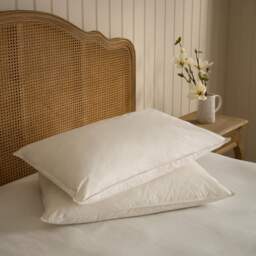 Duck Feather Pillow Pair