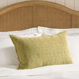 Ivy Cushion - thumbnail 1