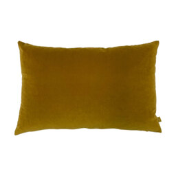 Ava Velvet Cushion