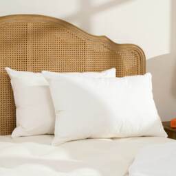 Soft as Down Deluxe Pillow Pair