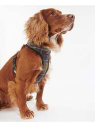 Barbour Dog Harness Small in Tartan, Cotton/Polyester - thumbnail 2