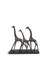 Libra Interiors Family Of Three Giraffes Sculpture in Bronze, Size 34x38x8