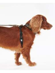 Barbour Dog Harness Medium in Tartan - thumbnail 5