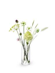 LSA Column Vase H28 X Ø13Cm in Clear - thumbnail 2