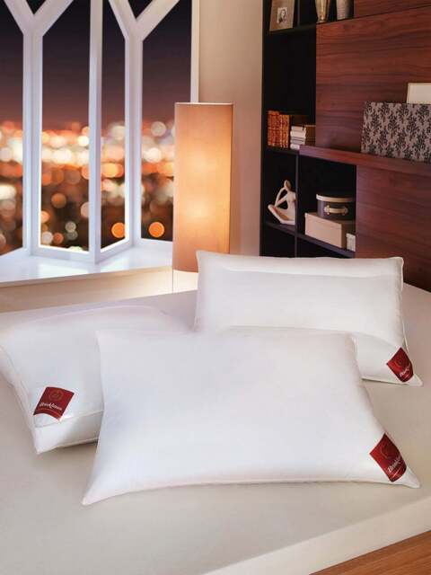 Brinkhaus Hungarian Goose Down Pillow in White, Cotton, Size Standard - image 1