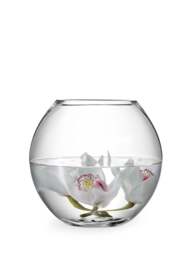 LSA Flower Round Bouquet Vase H22Cm in Clear - thumbnail 1