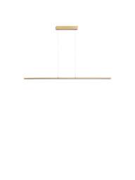 Heal's Saber Led Long Pendant in Gold