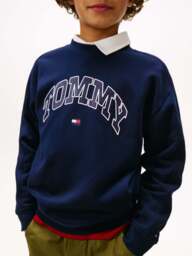 Tommy Hilfiger Varsity Logo Print Crew Neck Sweatshirt in Dark Night Navy, Wood/Metal, Size 16 YEARS - thumbnail 5